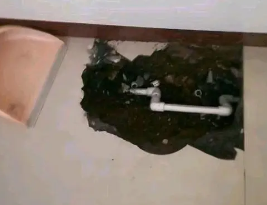 龙口卫生间测漏水多少钱
